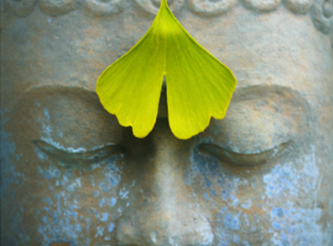 service thai massage img